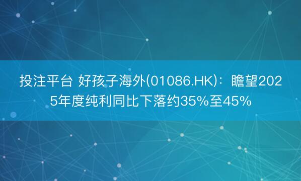 投注平台 好孩子海外(01086.HK)：瞻望2025年度纯利同比下落约35%至45%