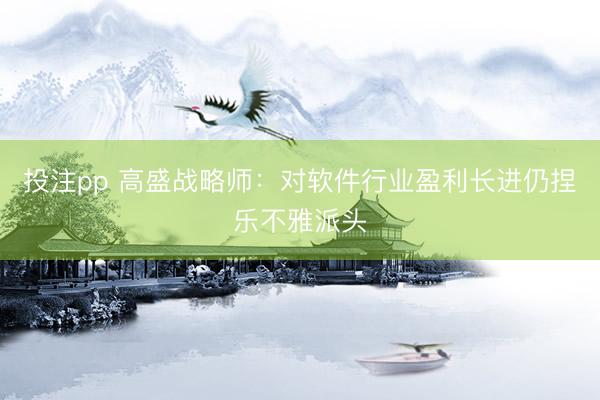 投注pp 高盛战略师：对软件行业盈利长进仍捏乐不雅派头