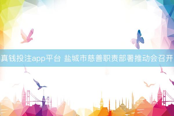 真钱投注app平台 盐城市慈善职责部署推动会召开
