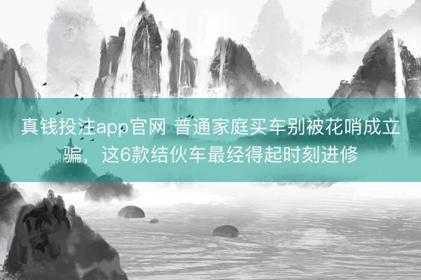 真钱投注app官网 普通家庭买车别被花哨成立骗，这6款结伙车最经得起时刻进修