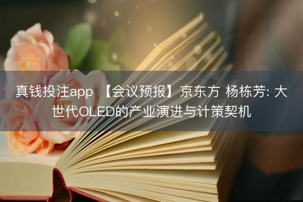 真钱投注app 【会议预报】京东方 杨栋芳: 大世代OLED的产业演进与计策契机
