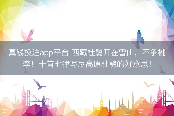 真钱投注app平台 西藏杜鹃开在雪山，不争桃李！十首七律写尽高原杜鹃的好意思！